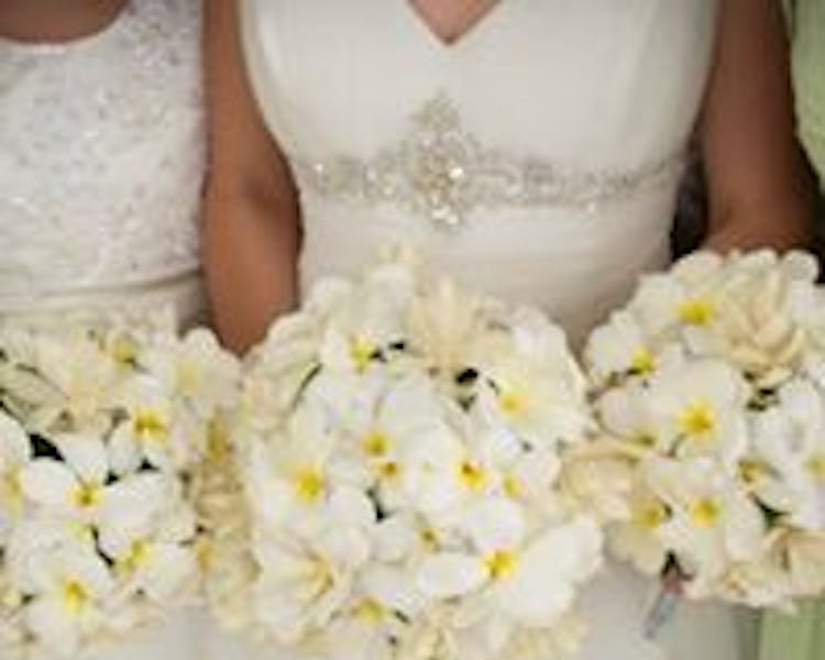 Frangpani Bouquet #erakorbeachweddings #weddingceremonyonthebeach #btropicalbridalbouquet
