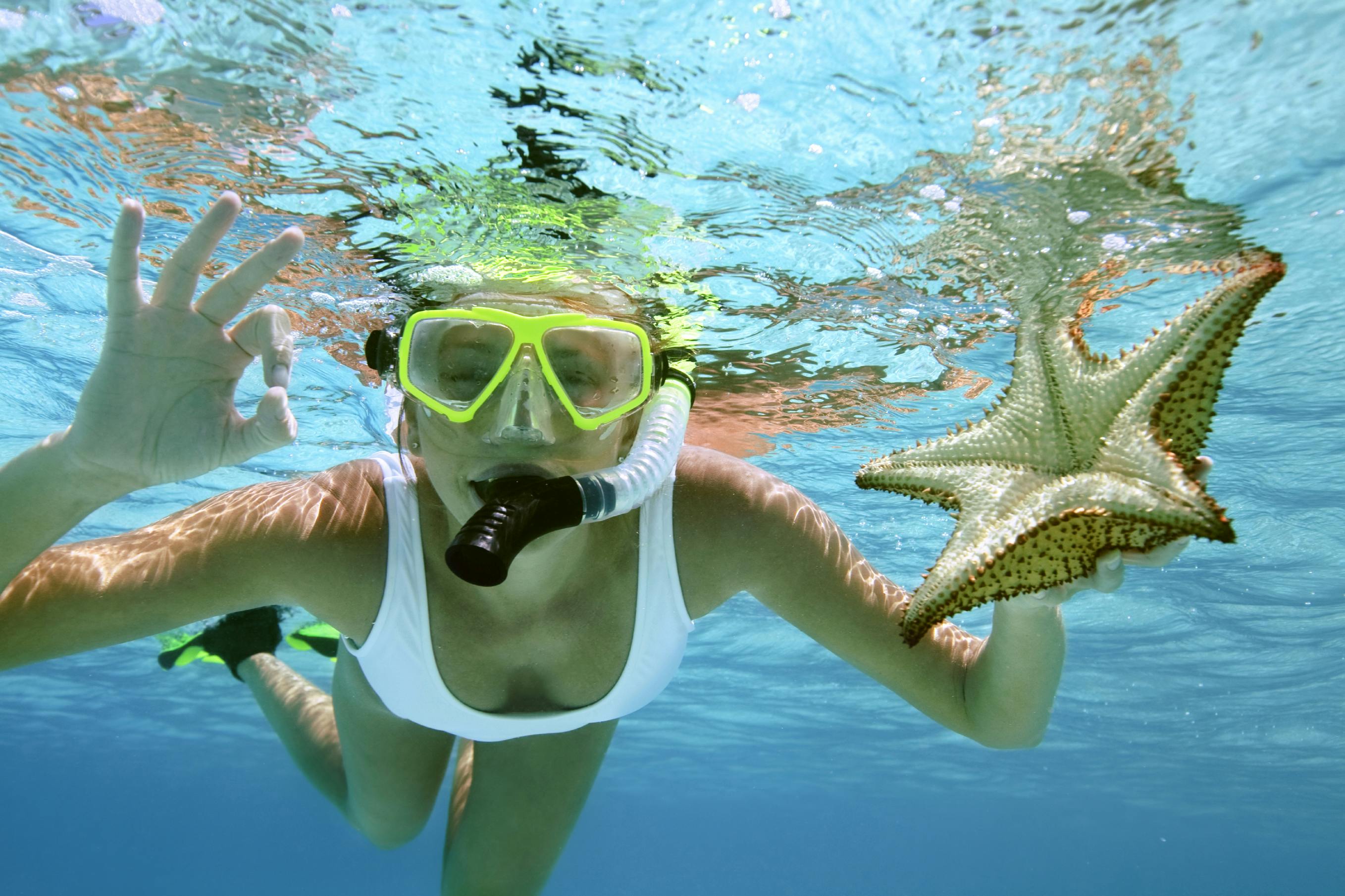 Swim & snorkel around Erakor Island and see what you discover erakor island resort & spa #erakorislandresort #vanuatuholiday