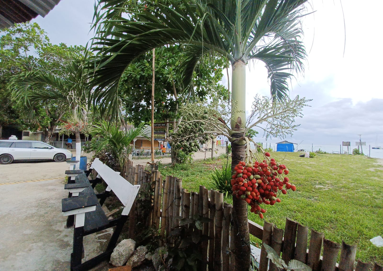 Sea view from Drifters.