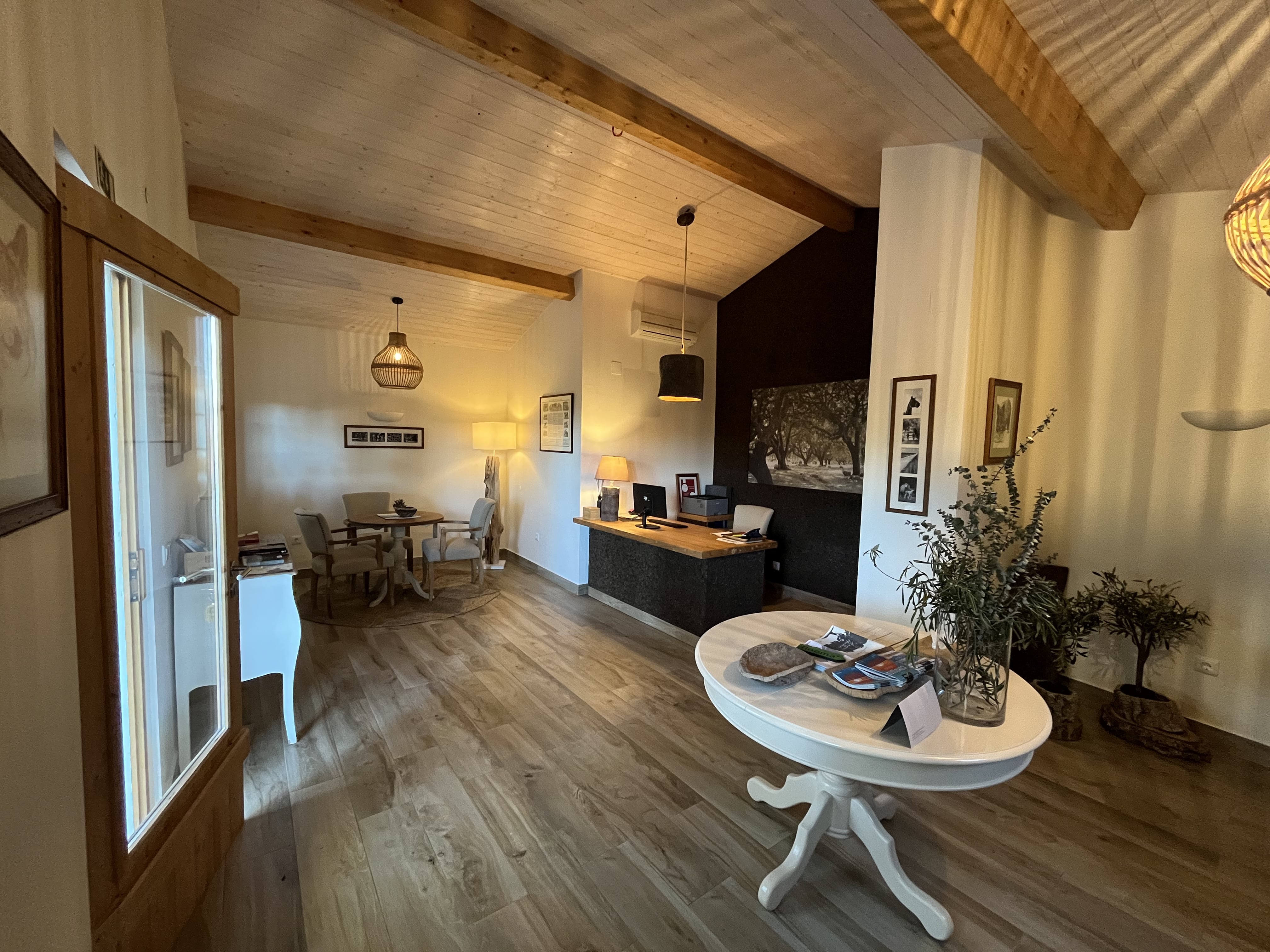 perspetiva, recepção