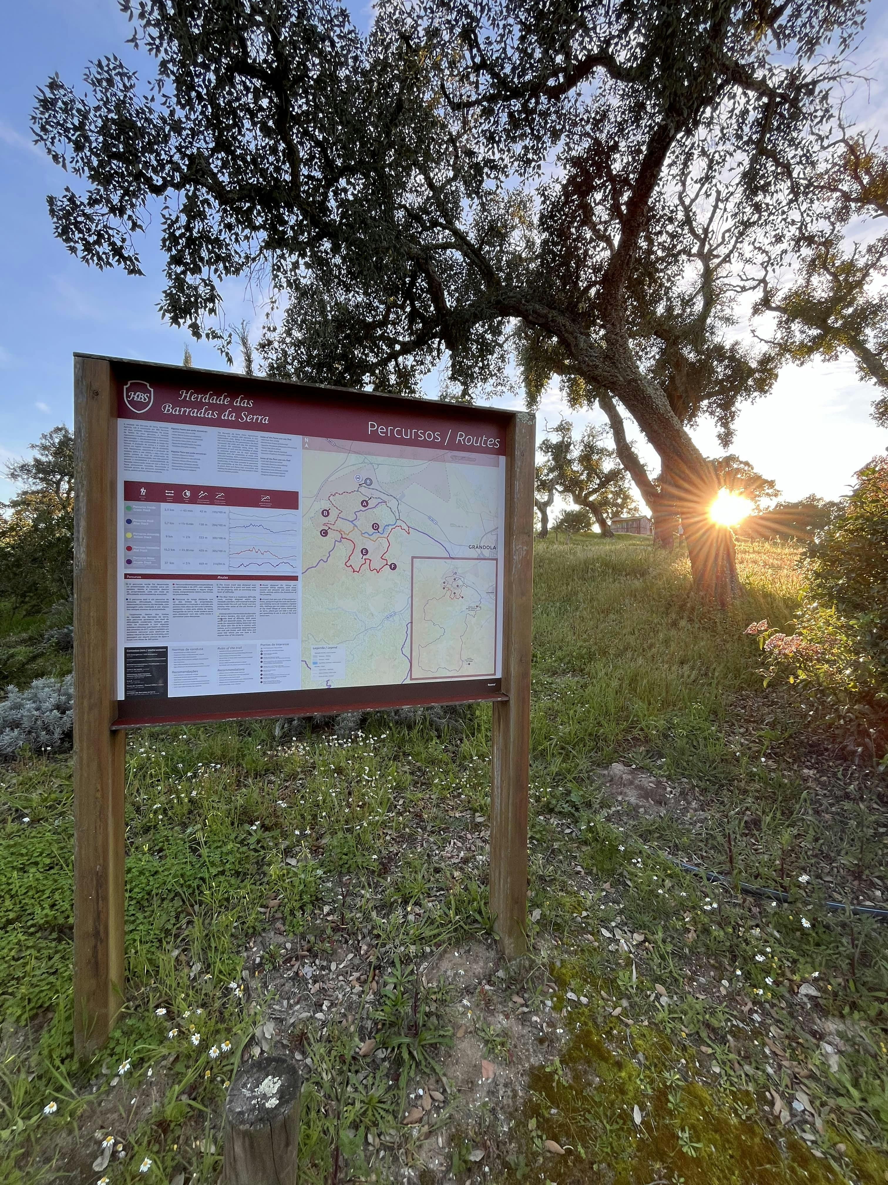 natureza, jardim, percursos pedestres