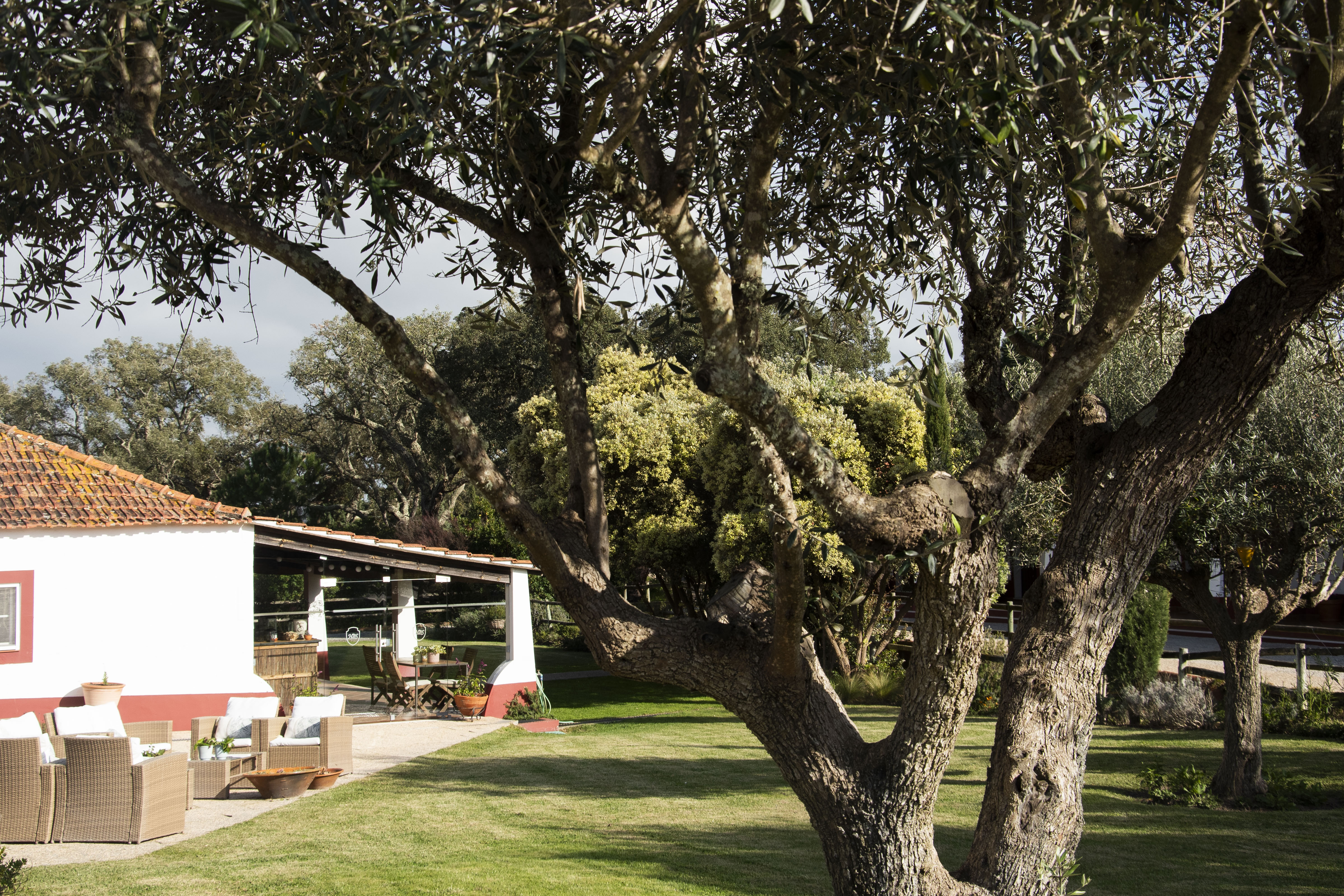 perspetiva exterior, jardins