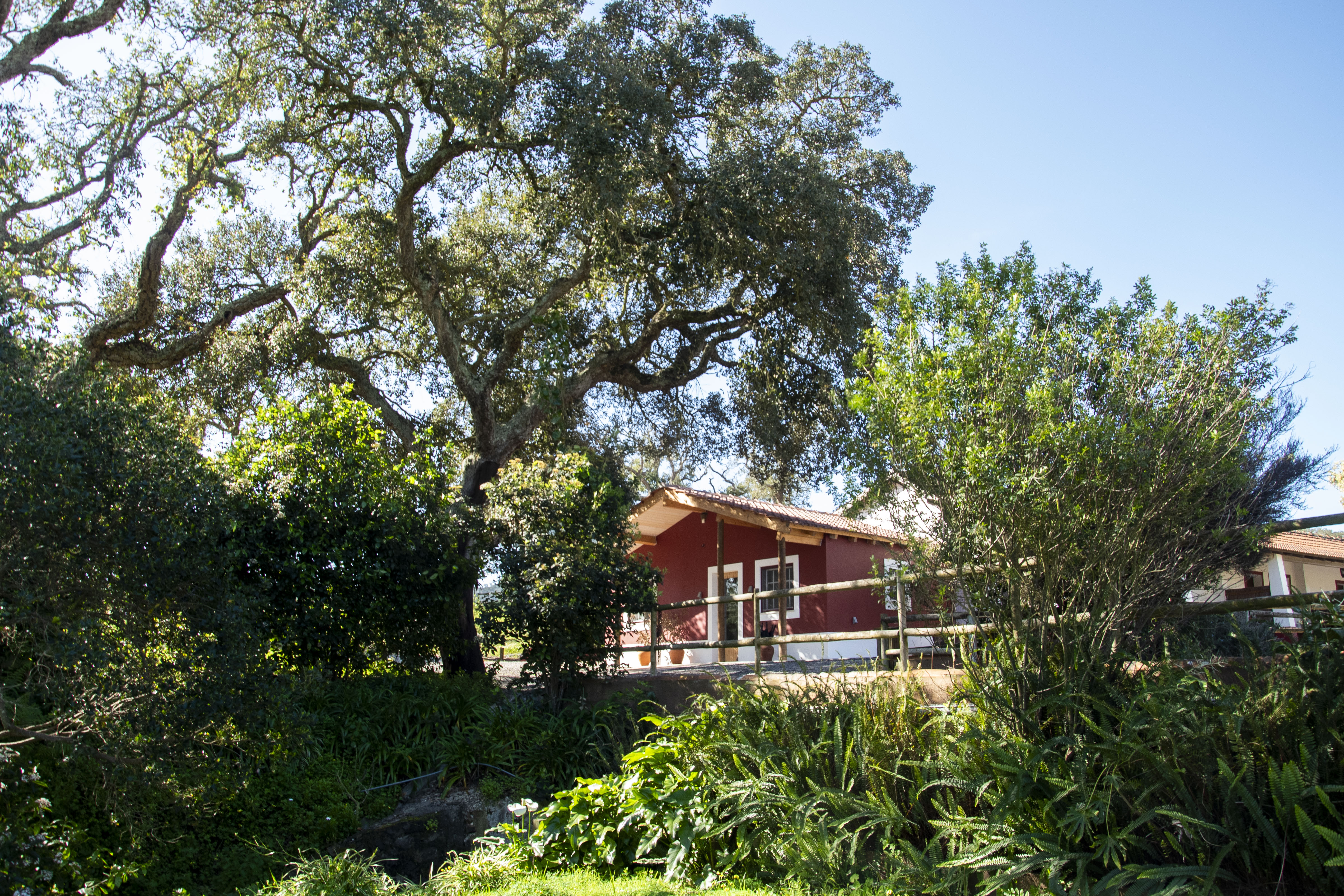 perspetiva exterior, jardins