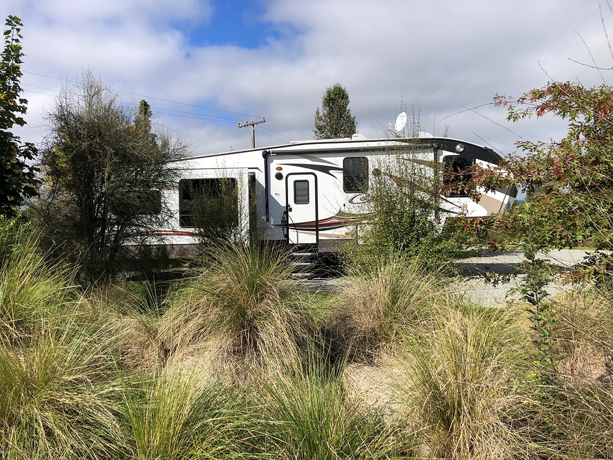 Campervan parking with native shrubs at Musterer's Accommodation, Fairlie.