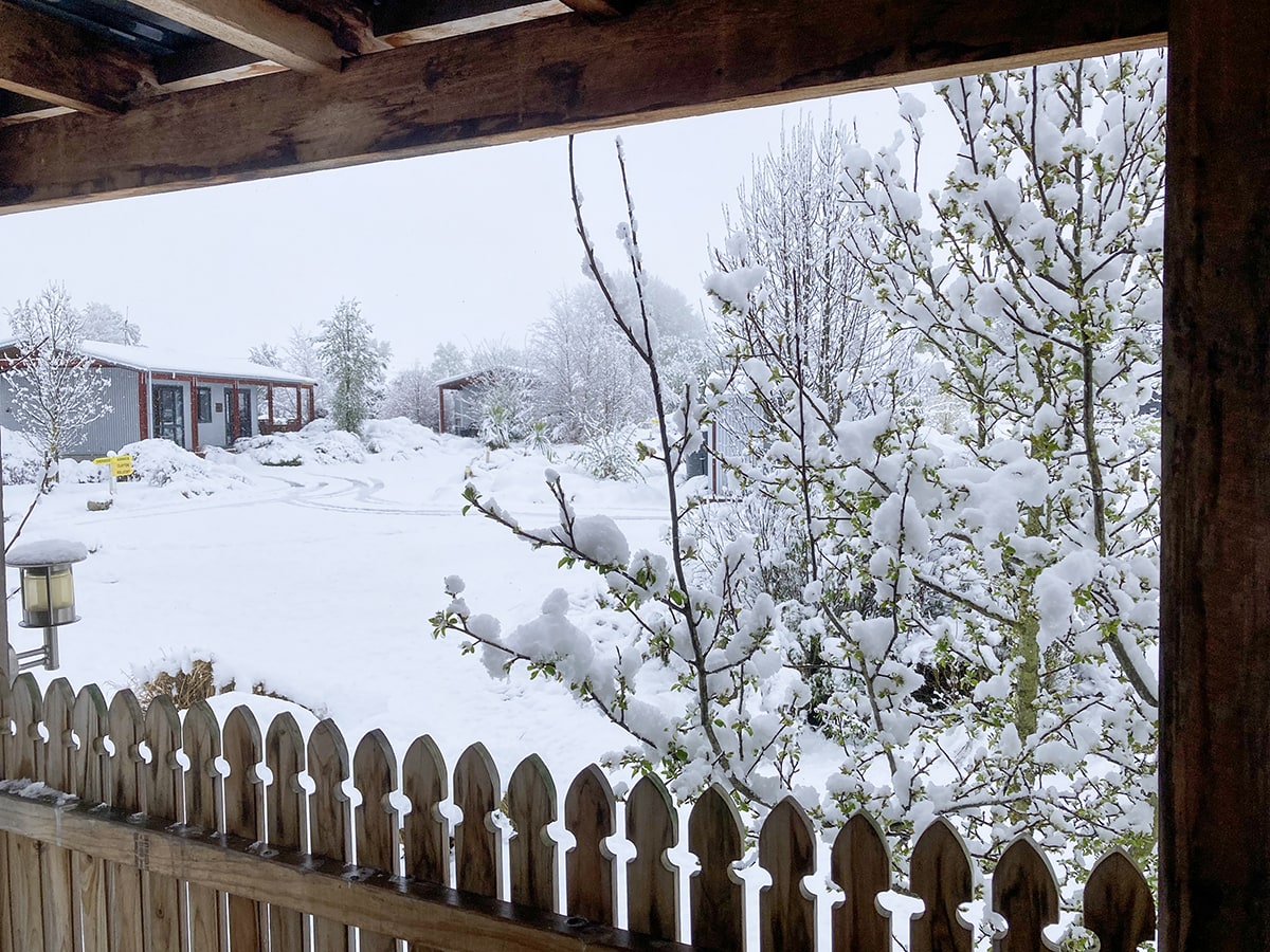 Snow-covered cabins in winter at Musterer's Accommodation, Fairlie.