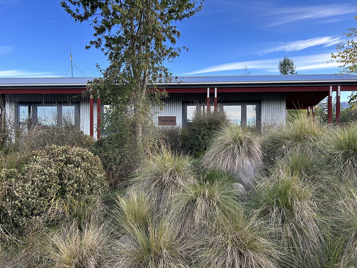 A modern-rustic cabin with native trees and plants at Musterer's Accommodation, Fairlie.