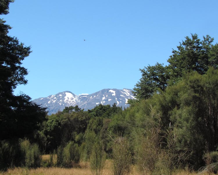 Just 50 me walk from the Night Sky Cottage enjoy the Mt Ruapehu view from your private deck.