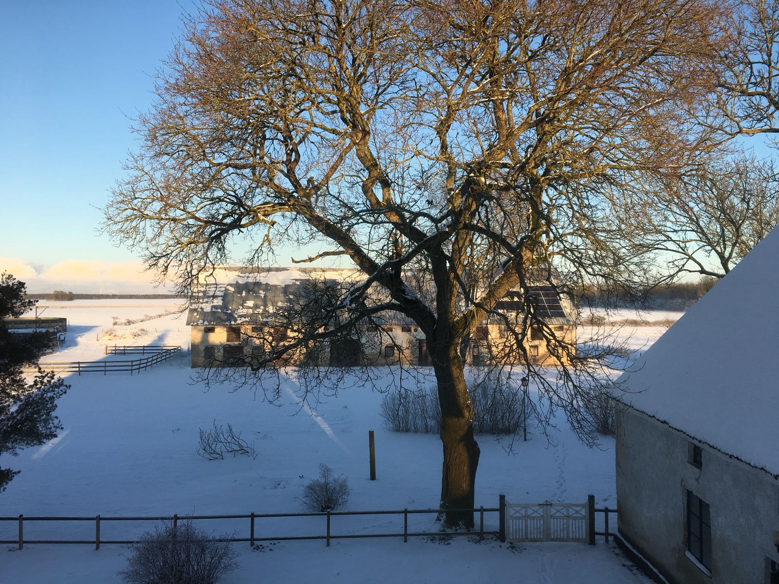 Snowy barn view at three pheasants