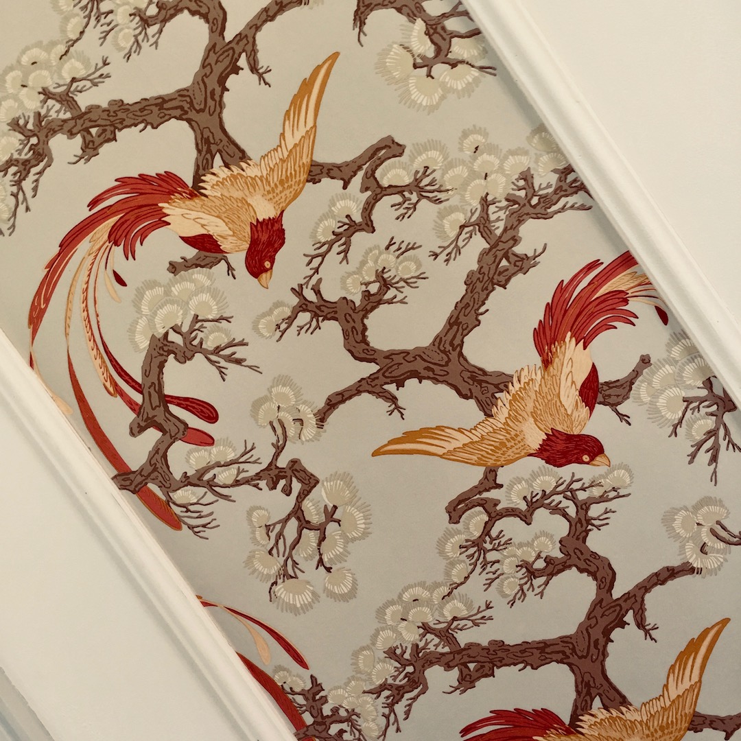 Wallpaper view of bird of paradise