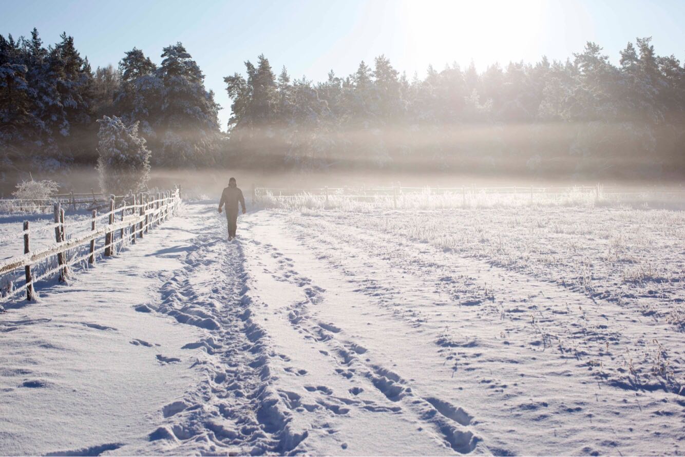 walking in the surroundings of Ekeby, Visby Gotland