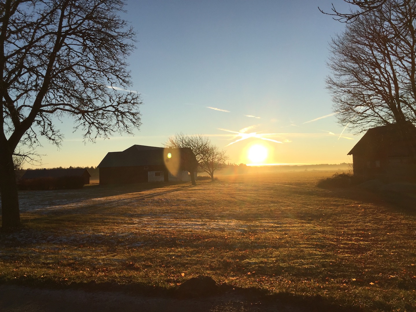 Winter on Gotland at Three Pheasants