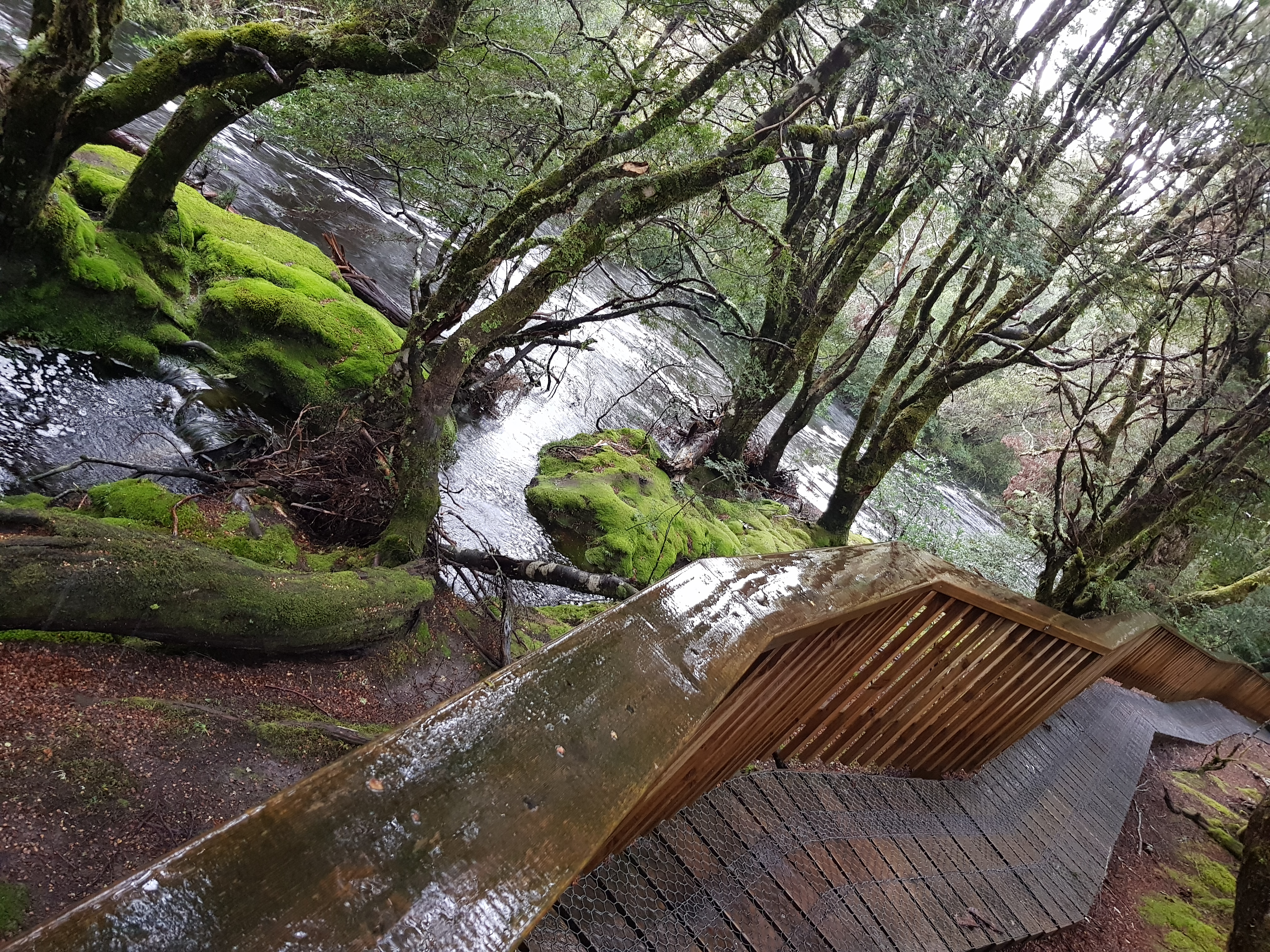 Cradle Mountain Walking Track