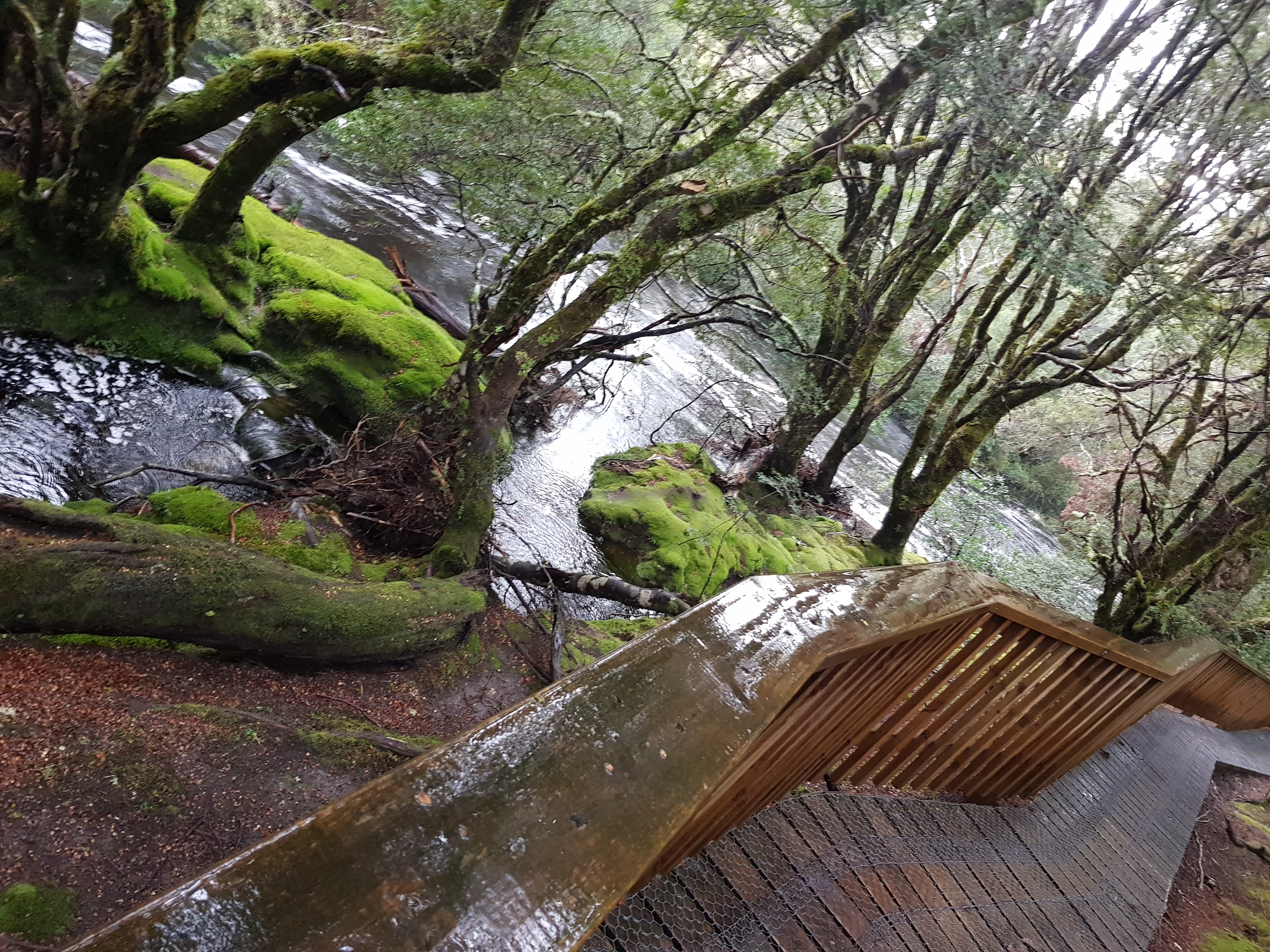 Cradle Mountain Walking Track