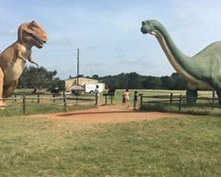 Dinos at Dinosaur Valley State Park