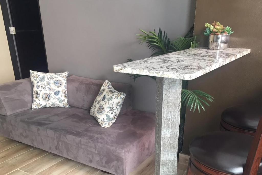 A2 Unit Living Area