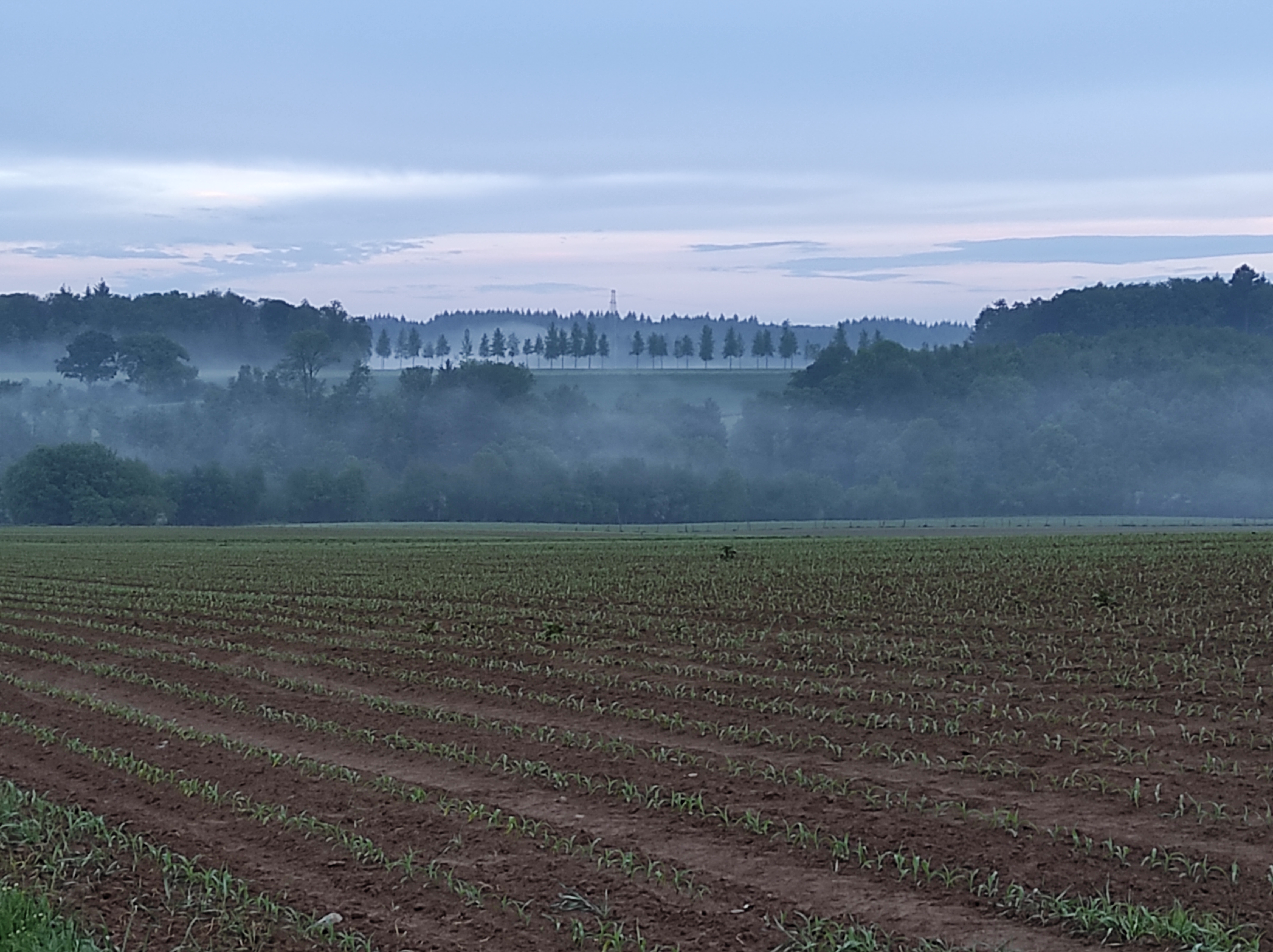 Panoramic misty view from a hiking or biking recommended route near La Maison Vienvenue.