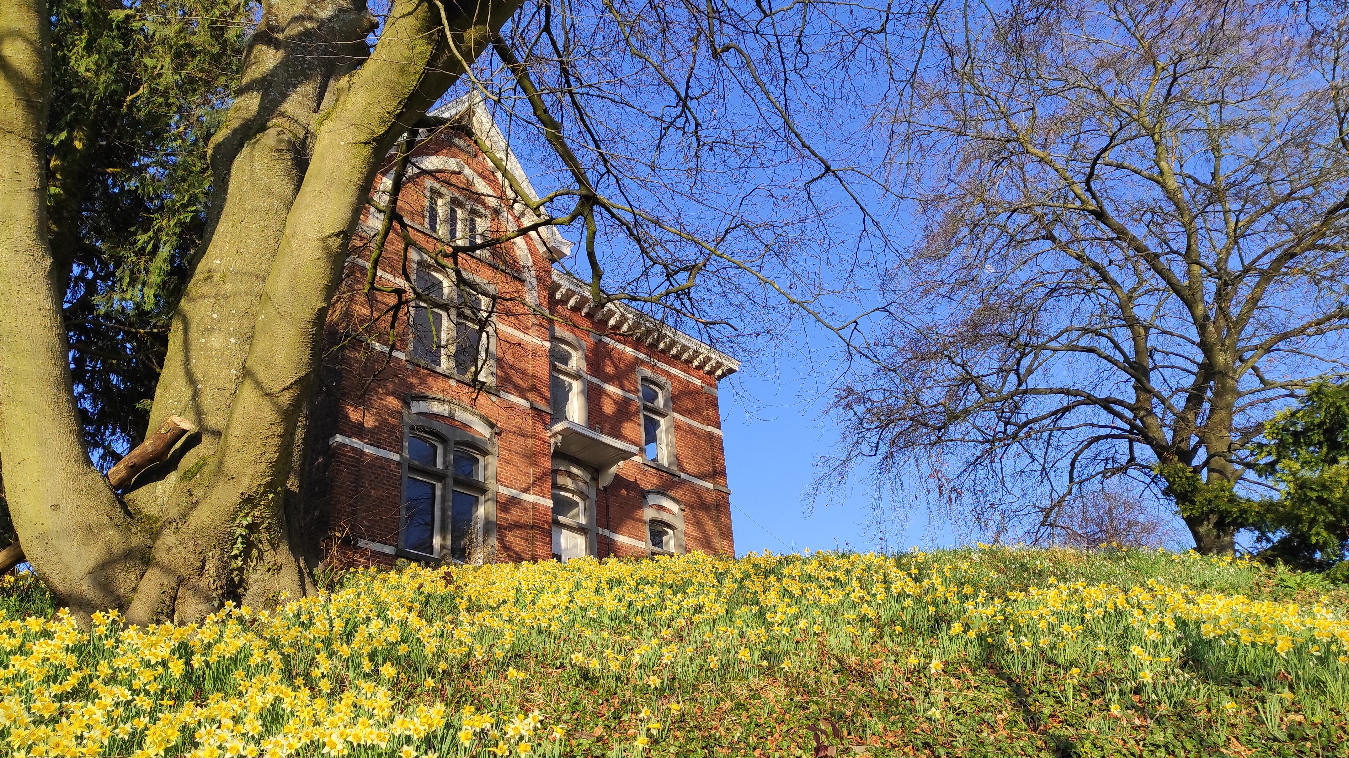 Facade of La Maison Vienvenue, an old manor house and cycling accommodation on a spring day surrounded by yellow flowers.