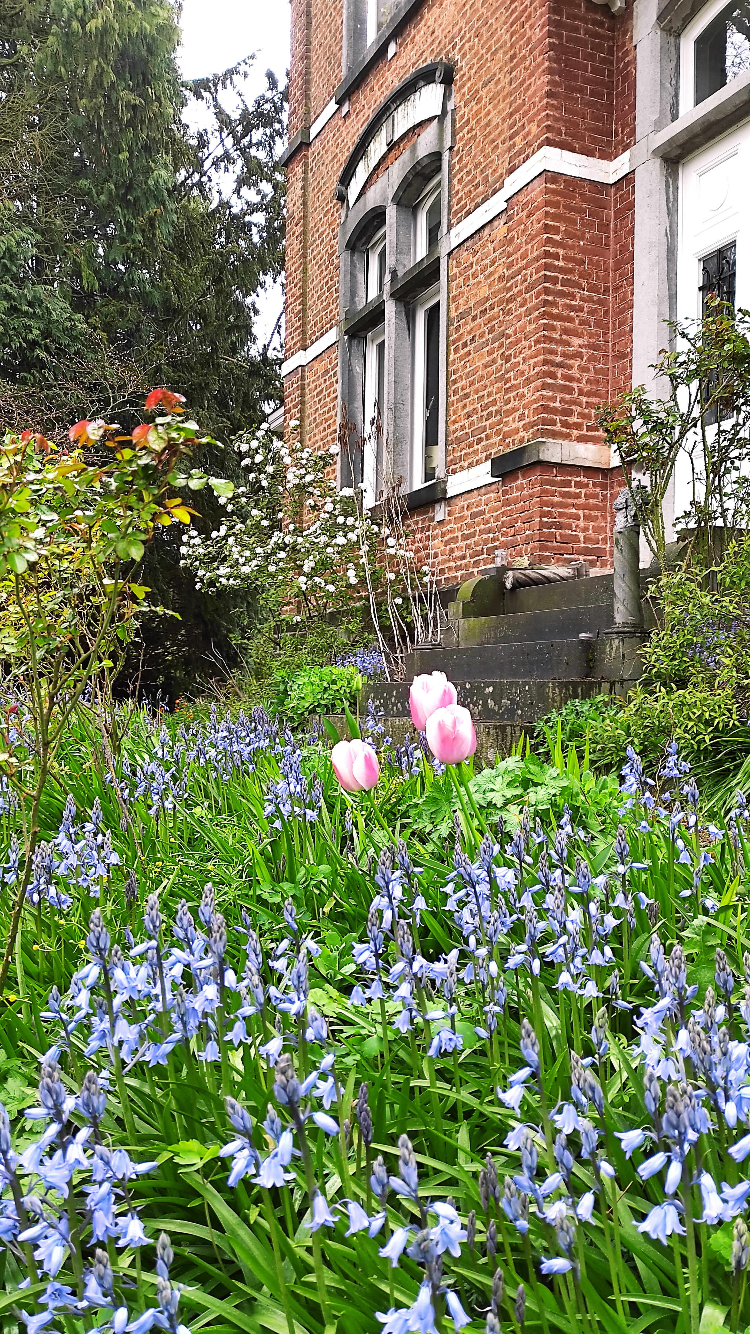 Flowers in front of the facade of La Maison Vienvenue, a historic manor offering accommodation for cyclists in the Ardennes