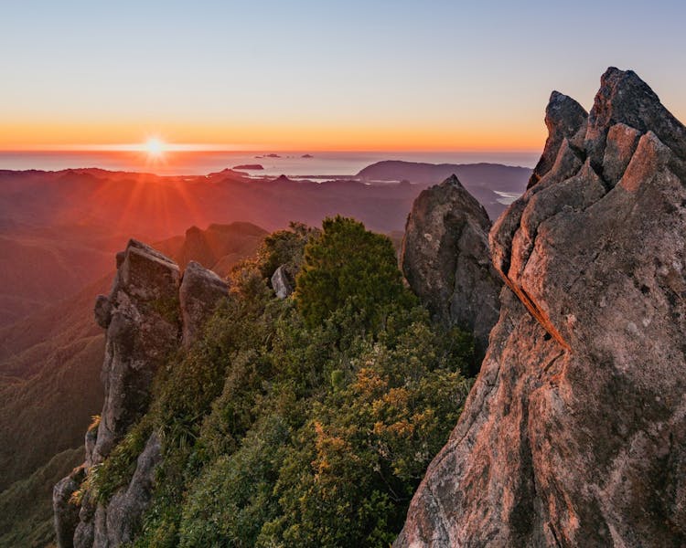 The Pinnacles track shows a 360 view of the Coromandel Peninsula. A walk which can be done in 8 hours return.