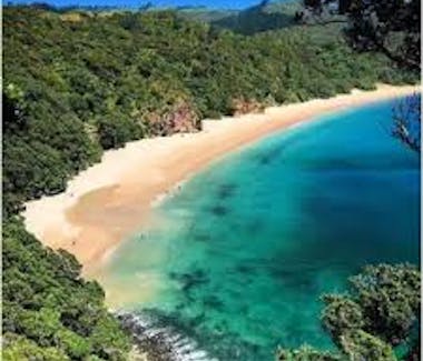 New Chums Beach named one of the to 10 beaches in the world golden sand is fringed by native forest access through Whangapoua
