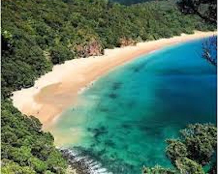 New Chums Beach named one of the to 10 beaches in the world golden sand is fringed by native forest access through Whangapoua