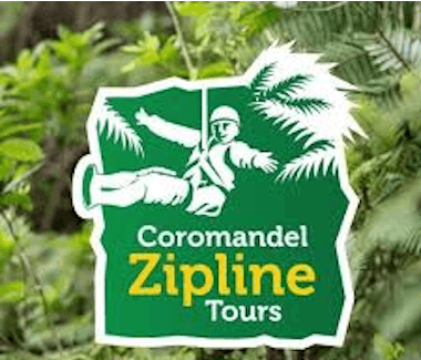 Coromandel Zipline Tours glide through the forest on a unique zipline canopy tour to experience Coromandel's native forest.