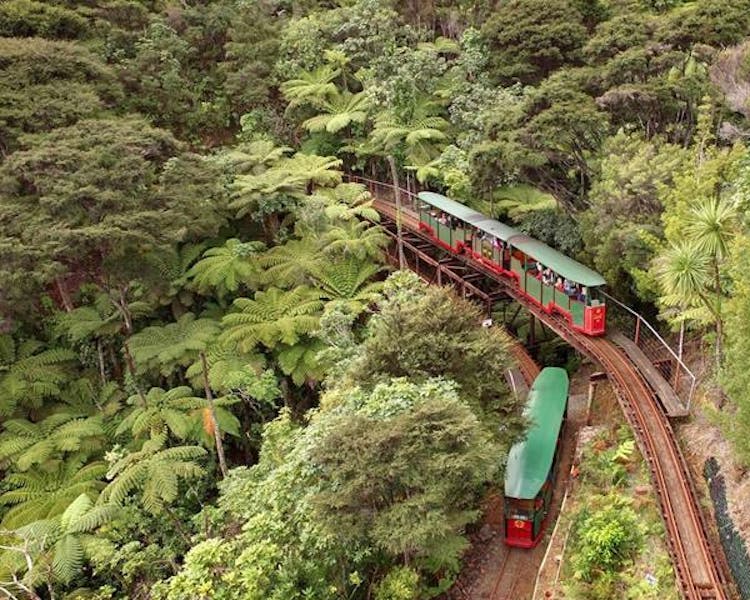 Driving Creek Railway where art, conservation, engineering, and adventure come together. Just one hour along the Thames coast