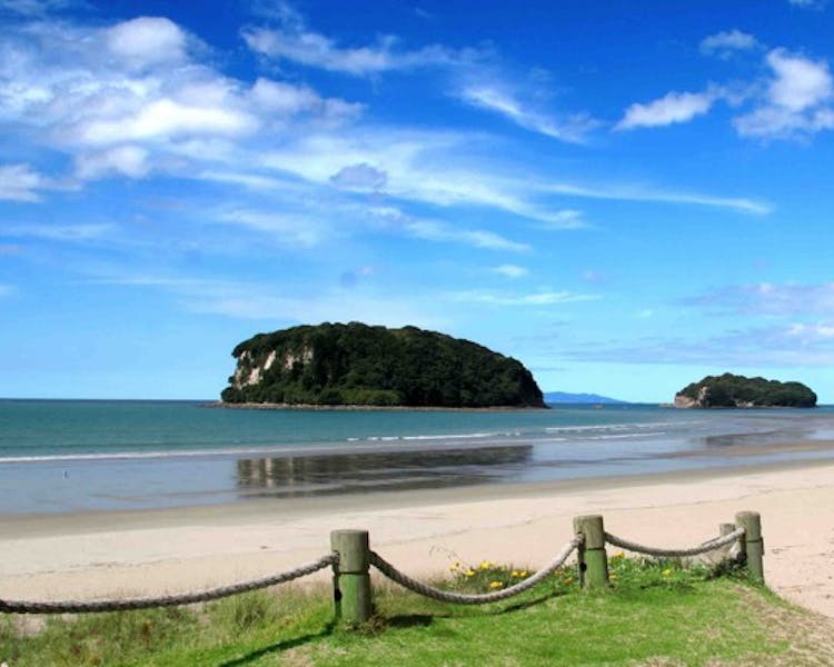 Whangamata the perfect place to surf, dine, and fish. The town backs onto Coromandel Forest Park for more adventures.
