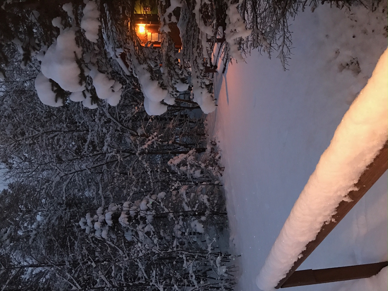 Snow at Best Bear Resort in Irons Michigan