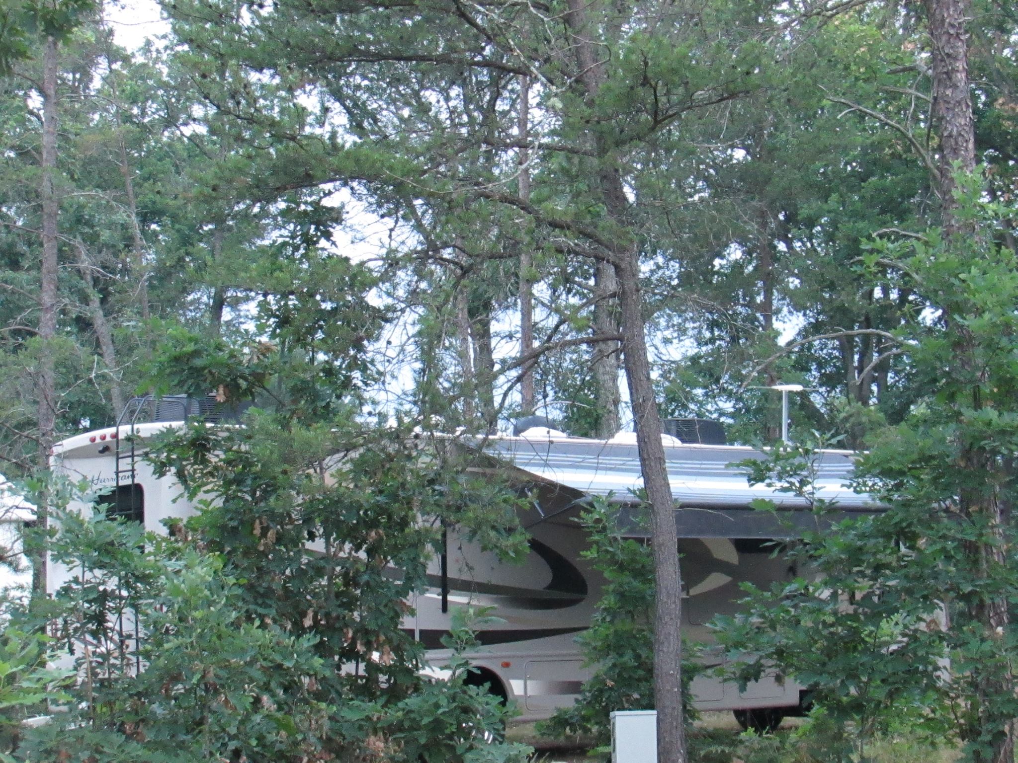 RV Park at Best Bear Lodge & Campground