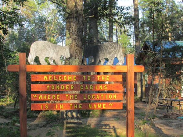 Best Bear Cabins