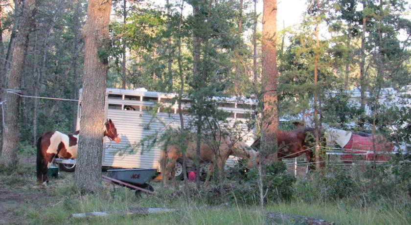 Horses are always welcome at Best Bear Lodge & Campground