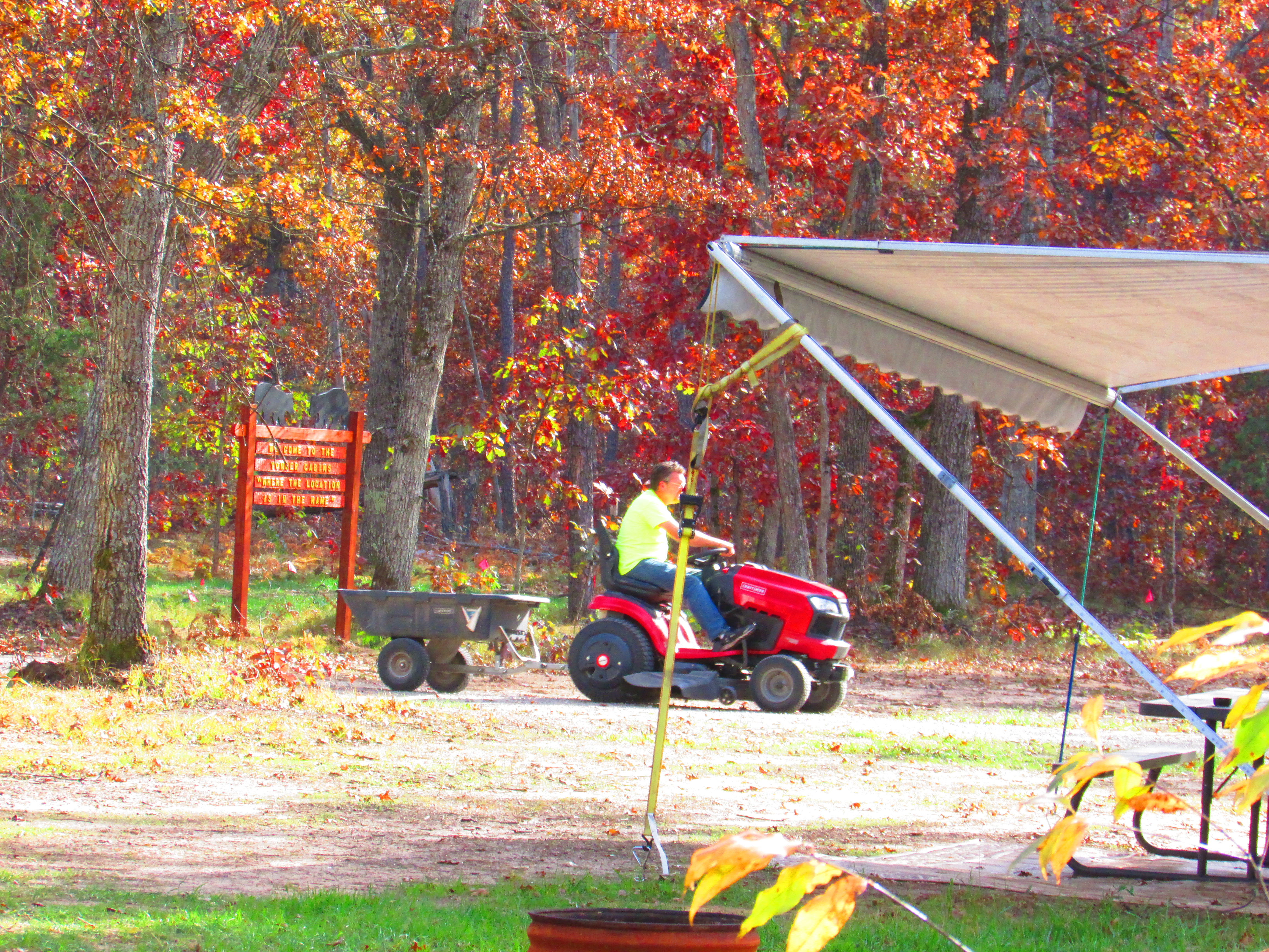 Wood Deliveries around the Park Best Bear Lodge & Campground Irons, Michigan