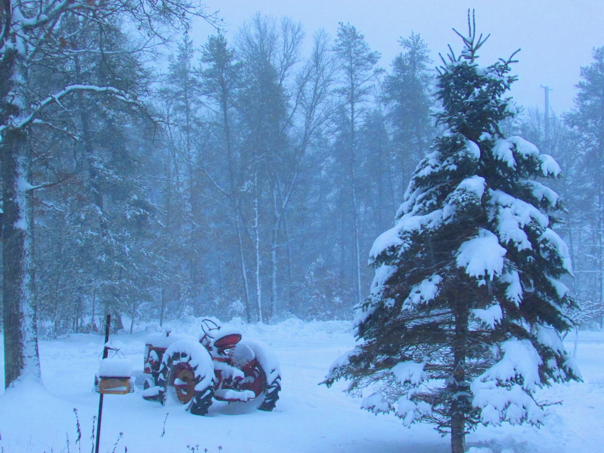 we get a lot of snow