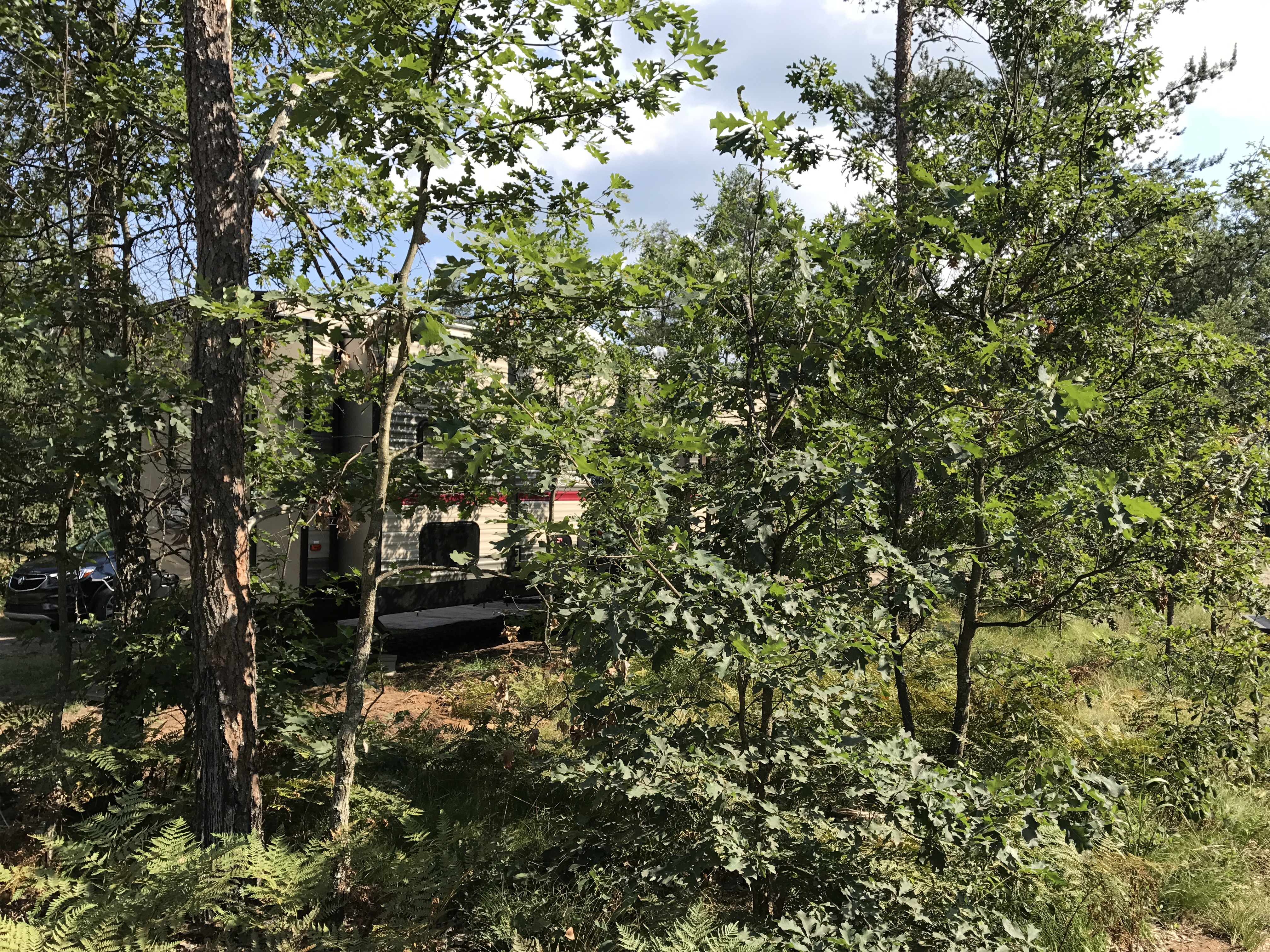 Grand Cherokee Destination RV Cabin Rental at Best Bear Lodge & Campground