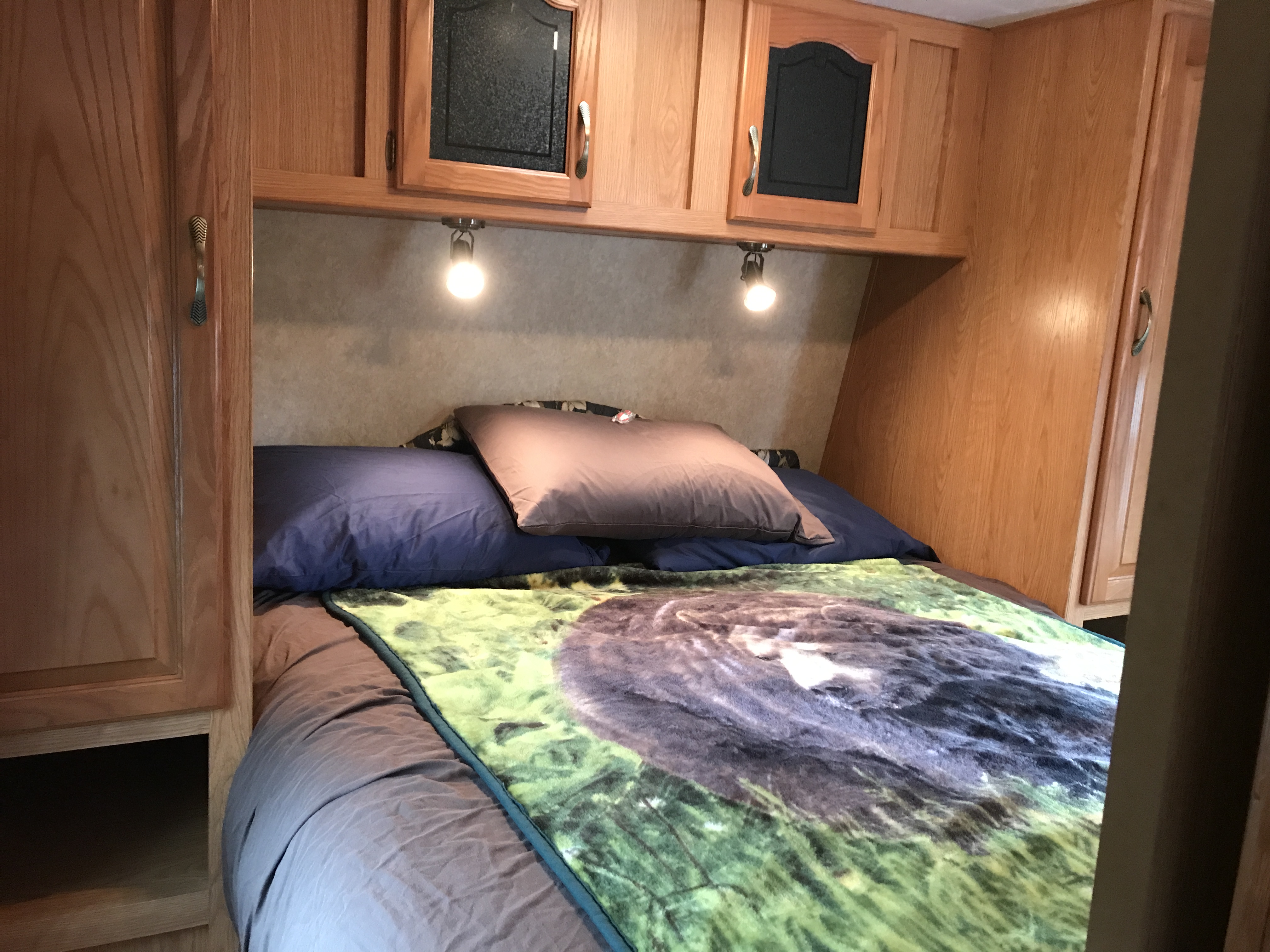 Best Bear Lodge & Campground Accommodations