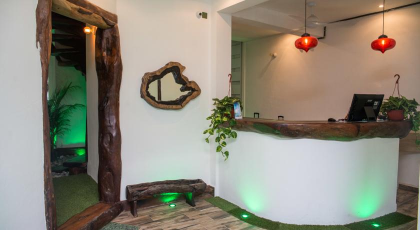 reception, recepción