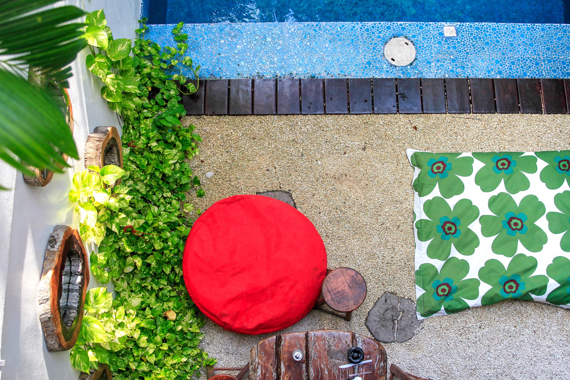 upper view of the pool, alberca vista desde arriba