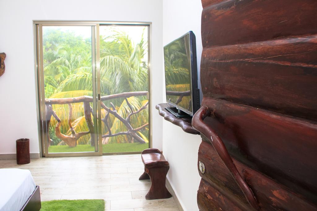 door, TV and balcony, TV, puerta y balcón