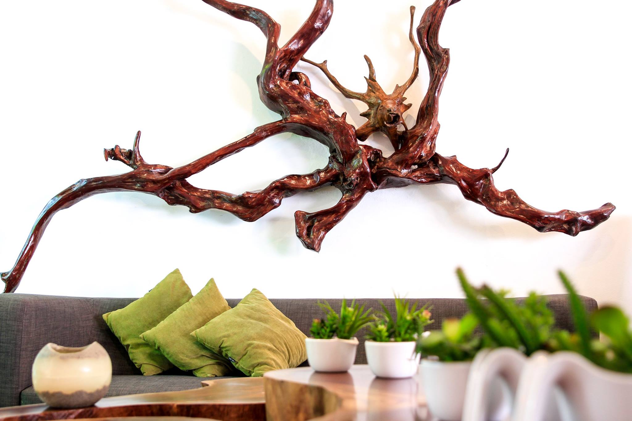 wooden root, raíz de madera, sofa