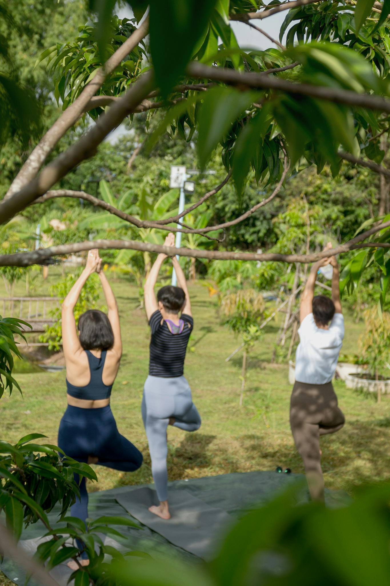 Yoga activity