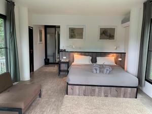 Double Forest View Room