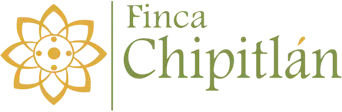 Finca Chipitlán Hotel - Temazcal - Espacio Holístico