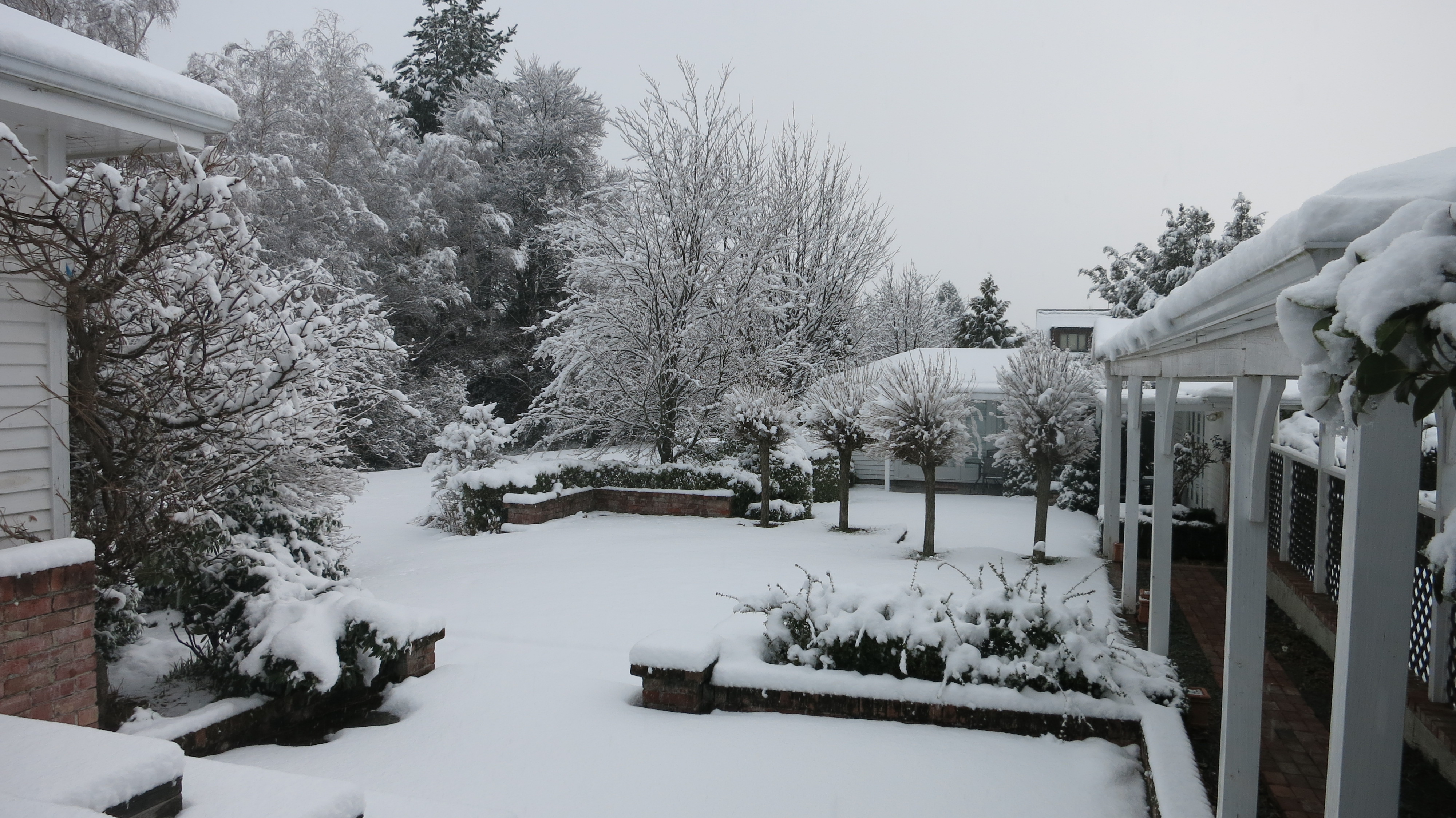 A little snow in the garden