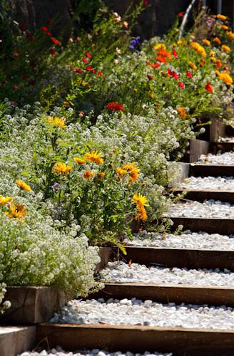 Jardin de l'hôtel et Spa Les Mouettes à Argelès-sur-Mer