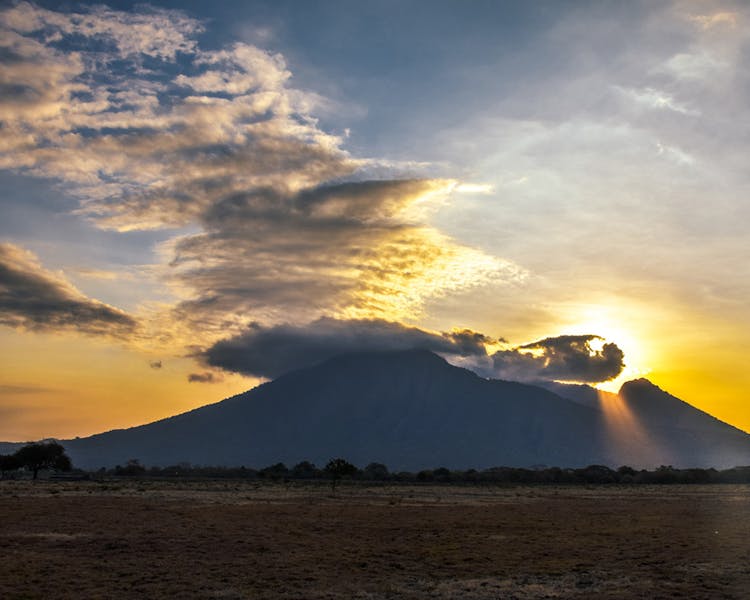 Bangsring Breeze tours to the nearby Baluran National Park