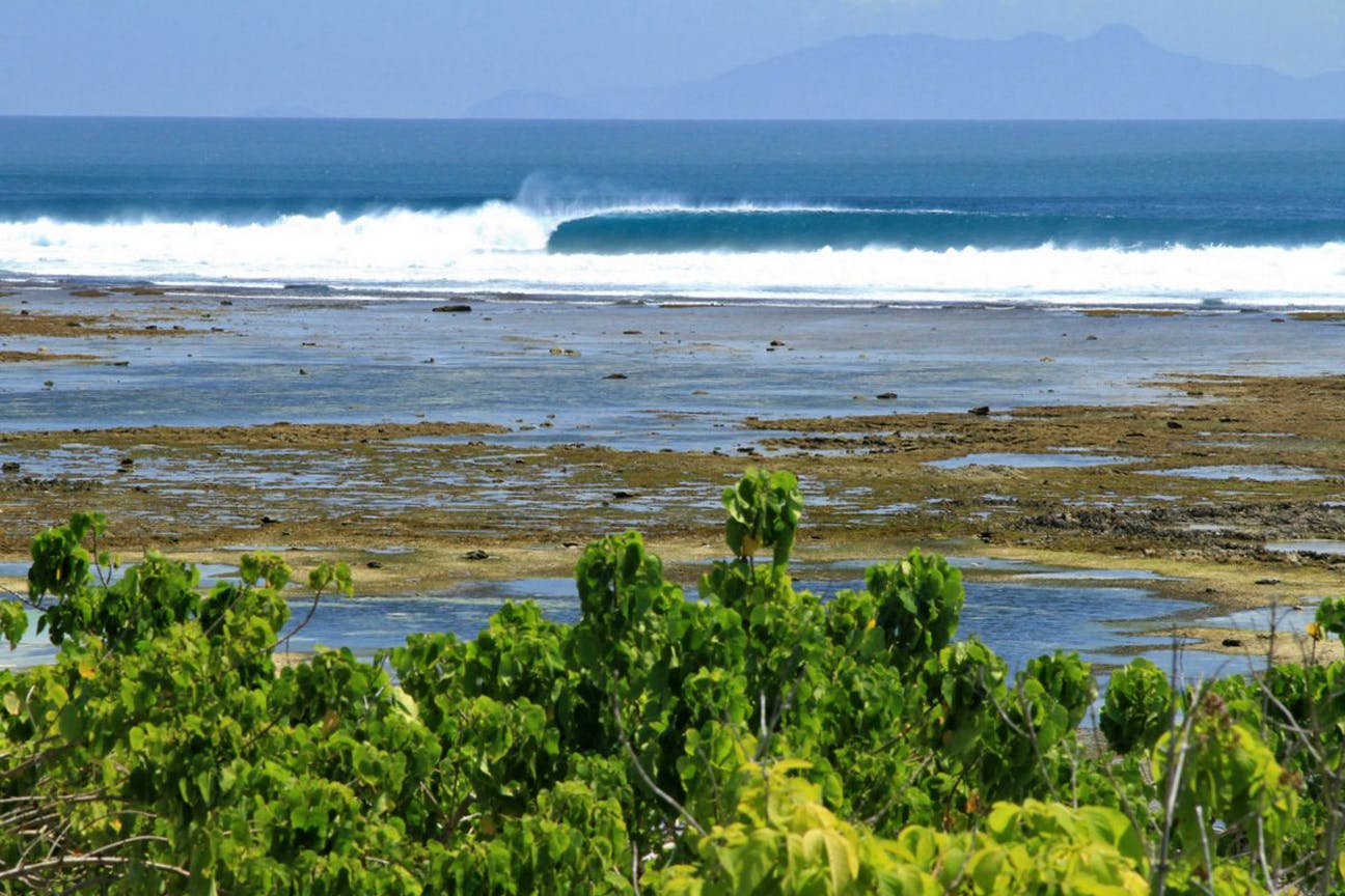 Bangsring Breeze surfing trips to G-Land in the Alas Purwo National Park