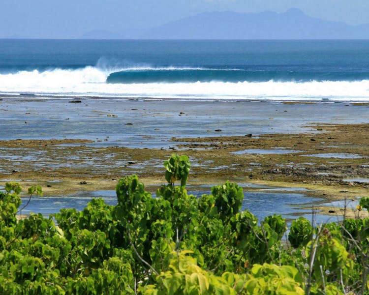 Bangsring Breeze surfing trips to G-Land in the Alas Purwo National Park