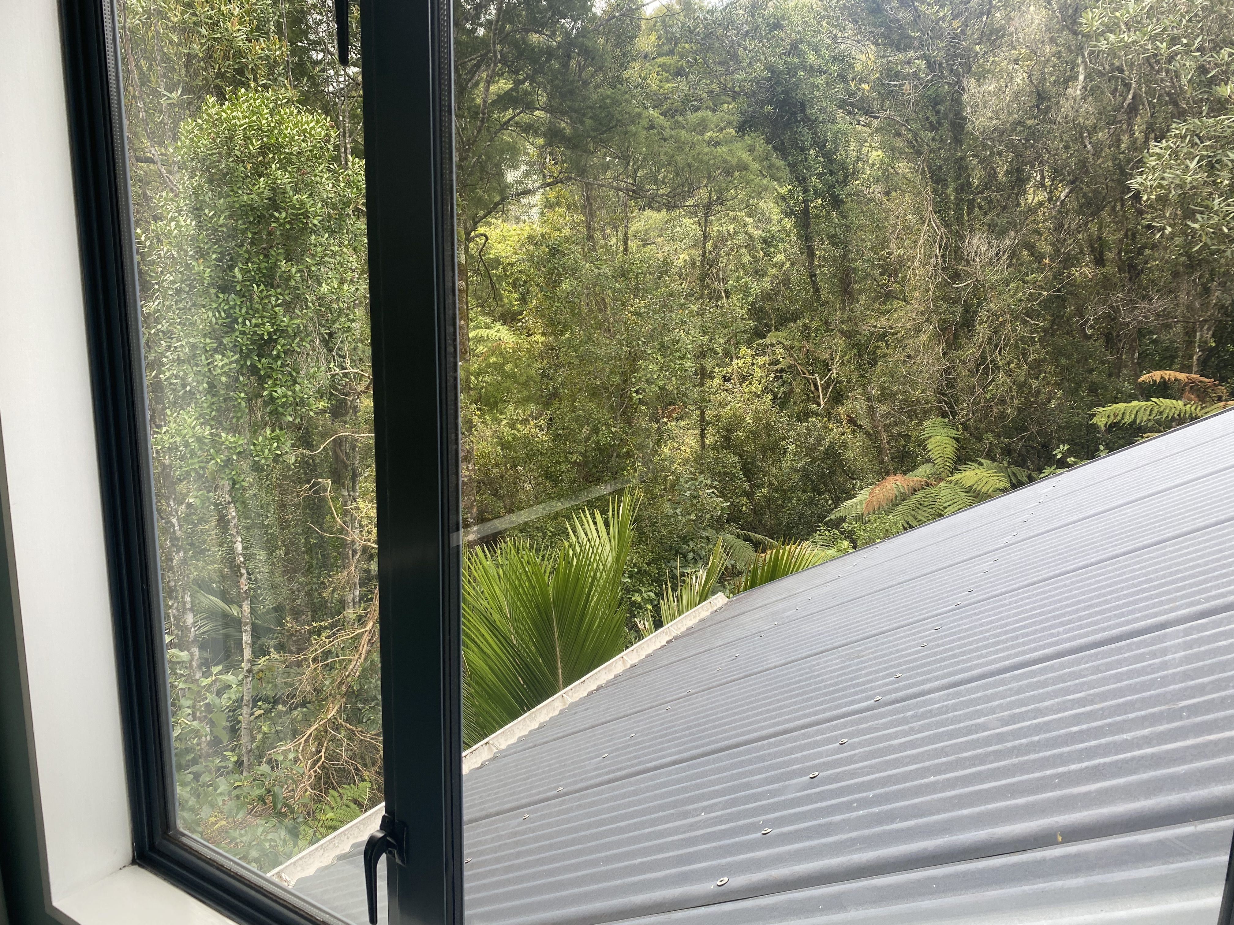 View of bush from master bedroom