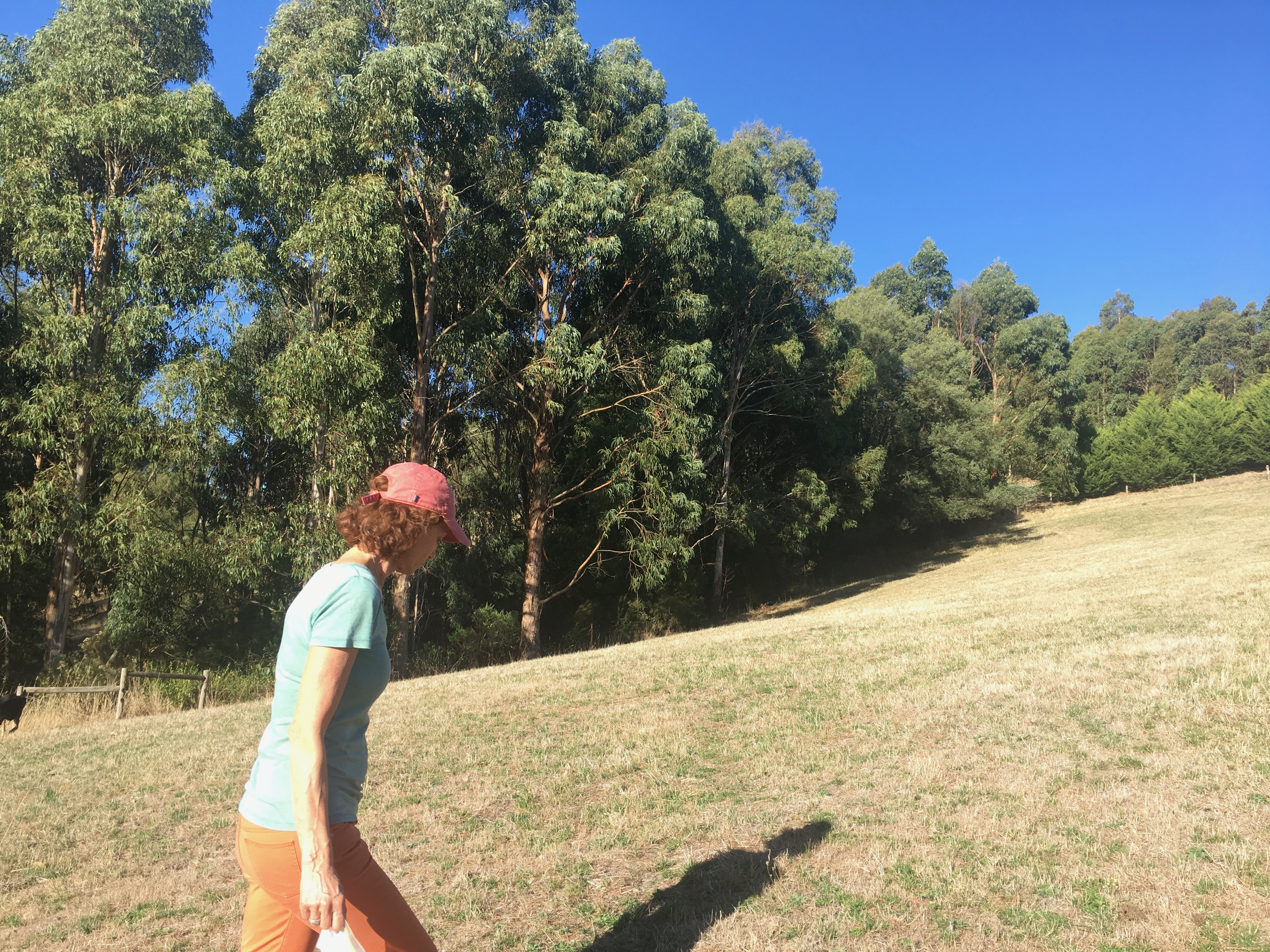 Anderley is a 35 acre property with plenty of areas to explore near cottages